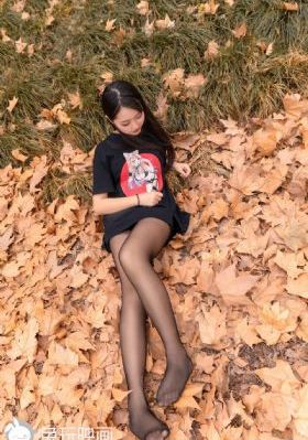 藏海花1-40集完整版免费观看