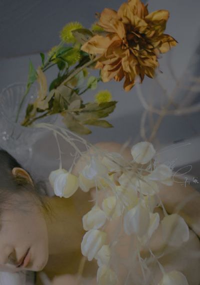 漂亮女秘书的目的