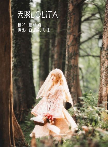 电影与鸭共舞