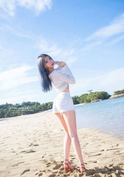一枝梅