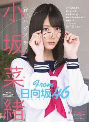 神探包青天电视剧
