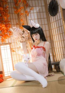 春城花满天