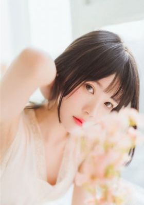 九重紫电视剧40集在线观看