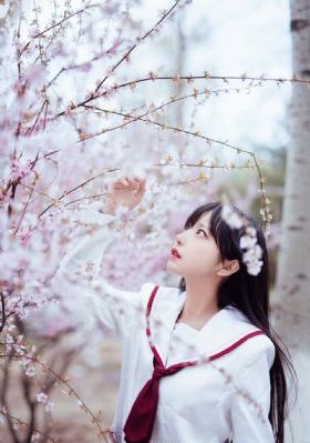 奋斗电视剧免费观看全集