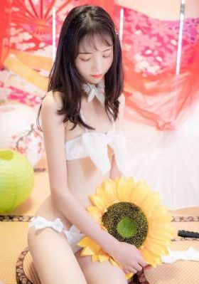 免费观看连续剧大全