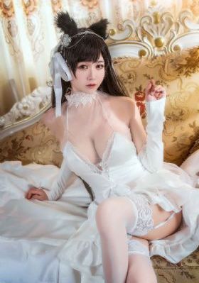 与君歌电视剧全集免费播放